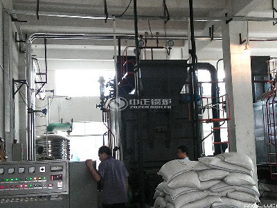 20吨链条炉燃煤蒸汽锅炉改造甲醇燃料锅炉技术方案